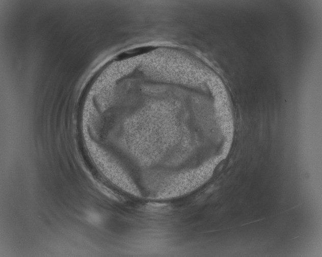 X0000080790055200701122158