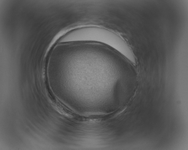 X0000080790056200701122158