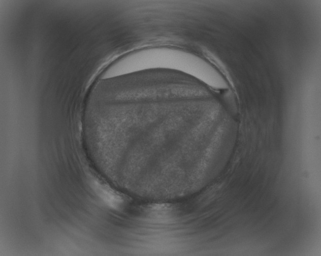 X0000080790059200701122158