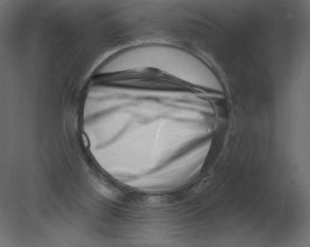 X0000080790060200701122158