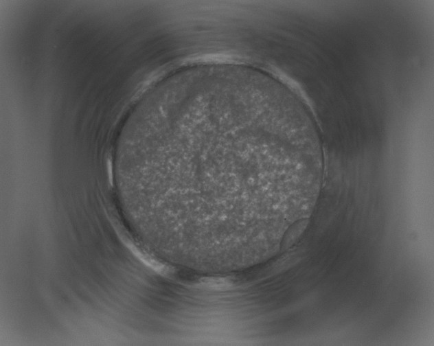 X0000080790061200701122158