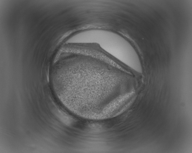 X0000080790062200701122158