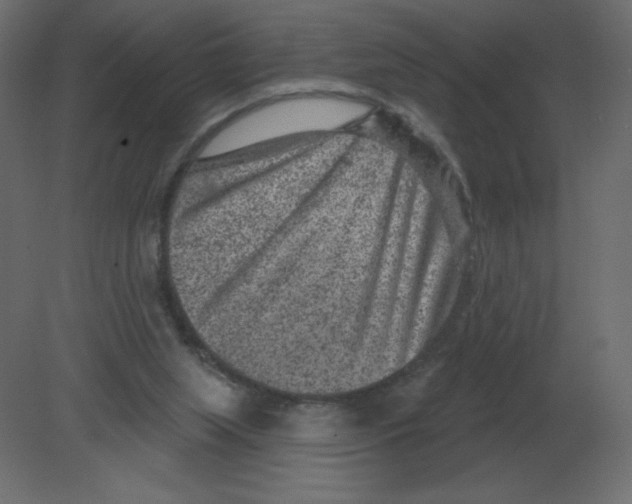 X0000080790063200701122158