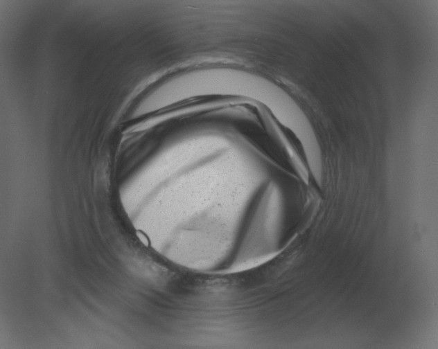 X0000080790064200701122158