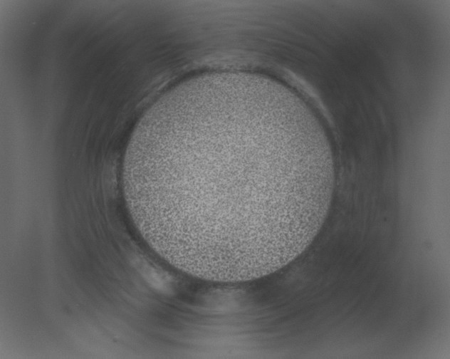 X0000080790065200701122158