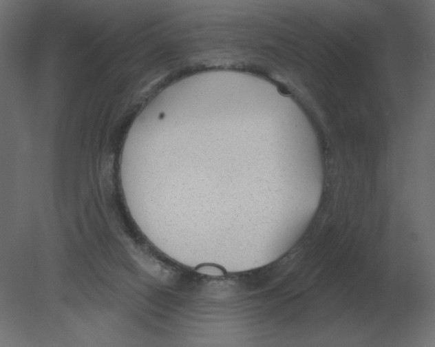 X0000080790066200701122158