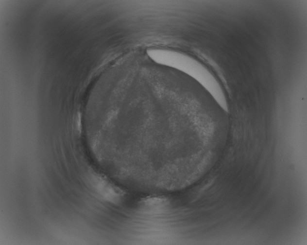 X0000080790067200701122158