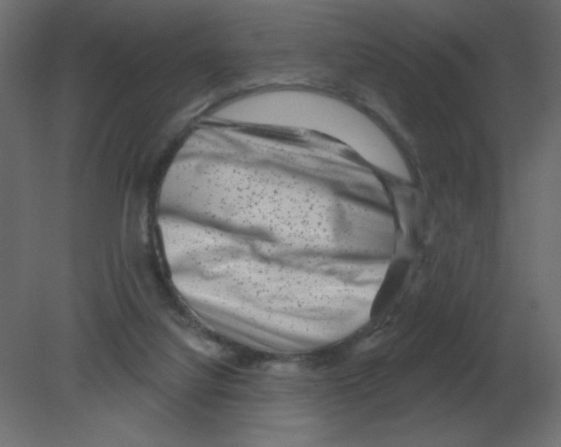 X0000080790068200701122158