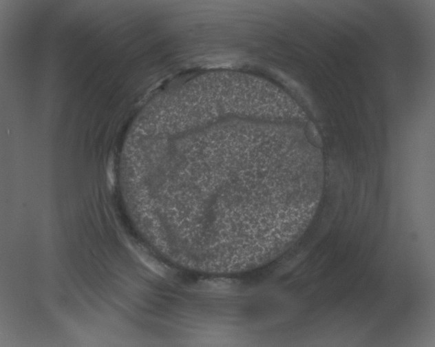 X0000080790069200701122159