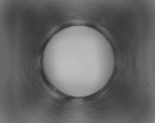 X0000080790071200701122159