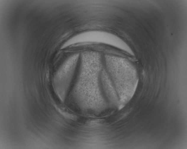 X0000080790072200701122159