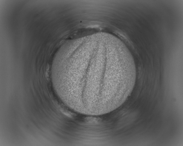 X0000080790073200701122159