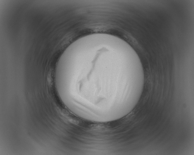 X0000080790074200701122159