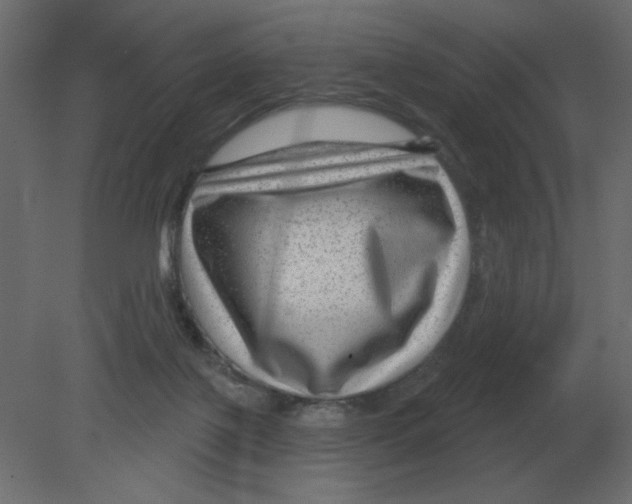 X0000080790075200701122159