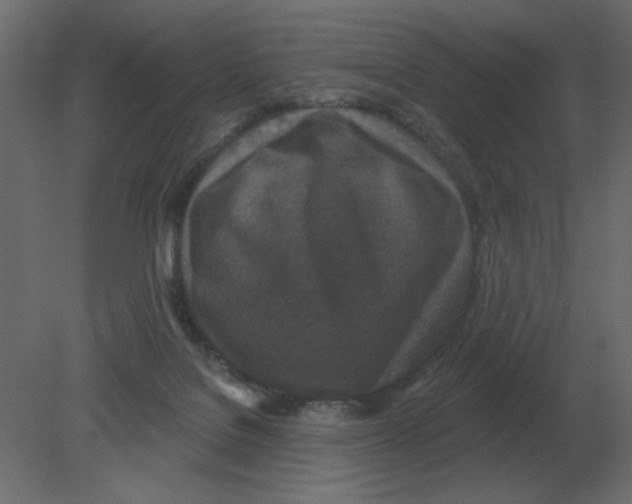 X0000080790076200701122159