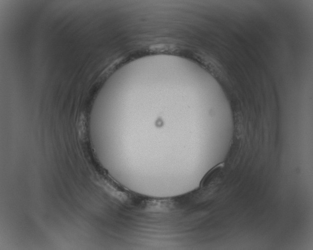 X0000080790077200701122159