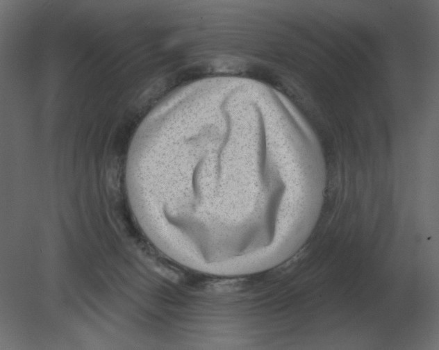 X0000080790078200701122159