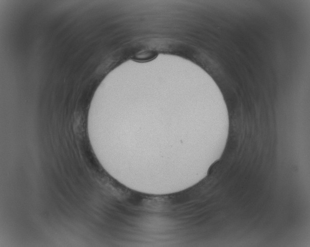 X0000080790079200701122159