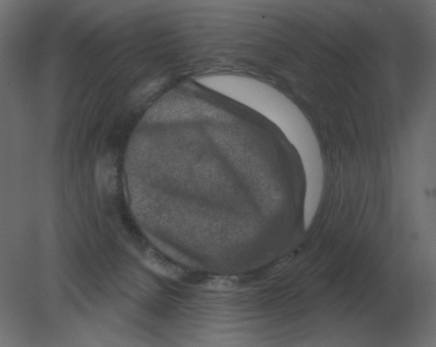 X0000080790080200701122159