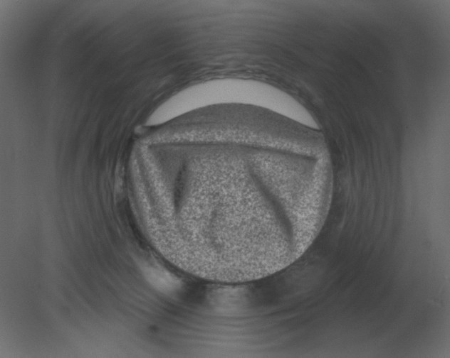 X0000080790081200701122159