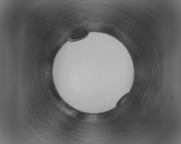 X0000080790083200701122159