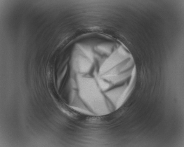 X0000080790084200701122159