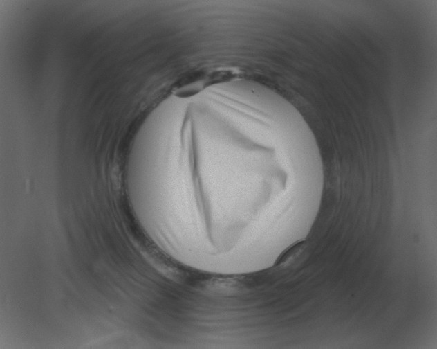 X0000080790086200701122159