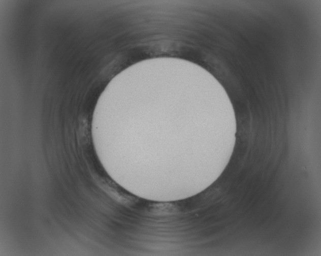 X0000080790087200701122159