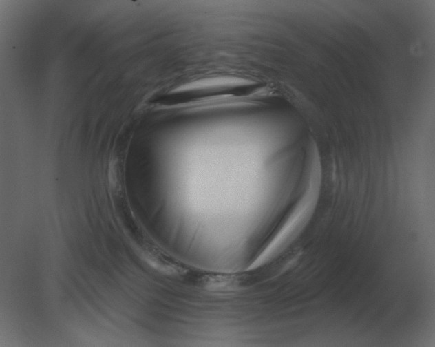 X0000080790088200701122159