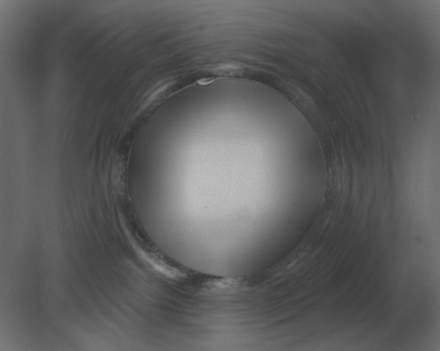 X0000080790092200701122159