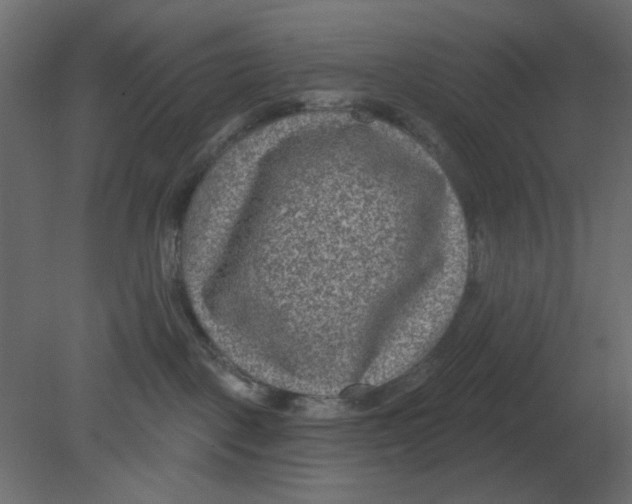 X0000080790093200701122159