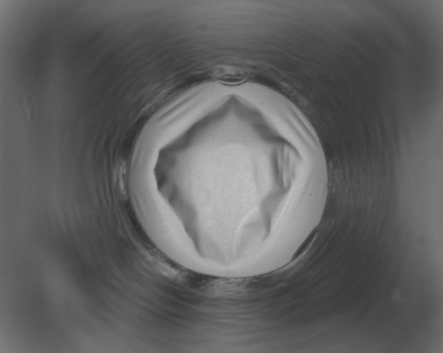 X0000080790094200701122159