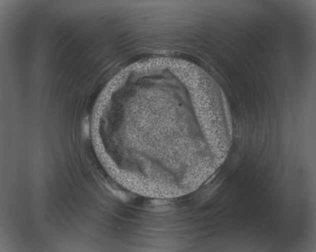 X0000080790095200701122159