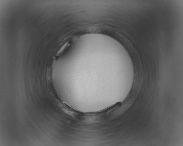 X0000080790096200701122159