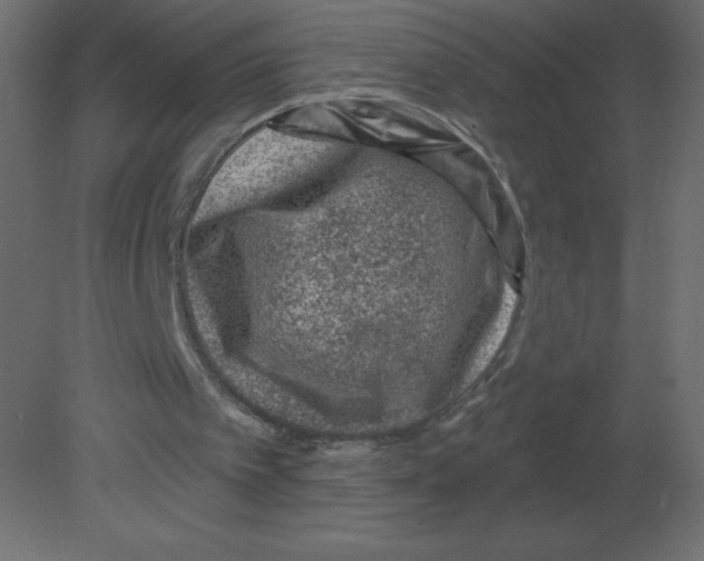 X0000080790097200701122158