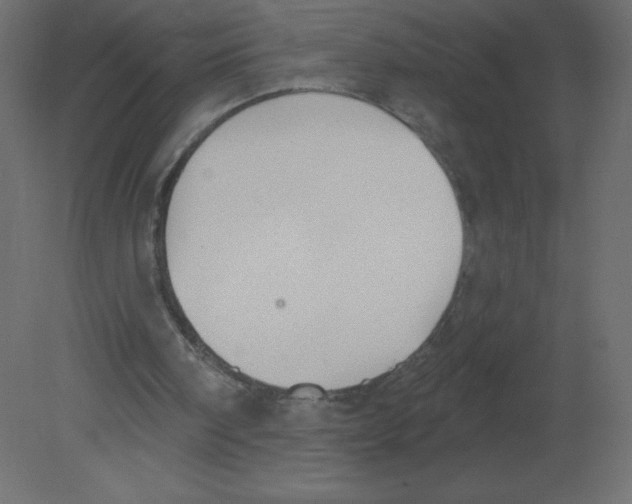 X0000080790098200701122158