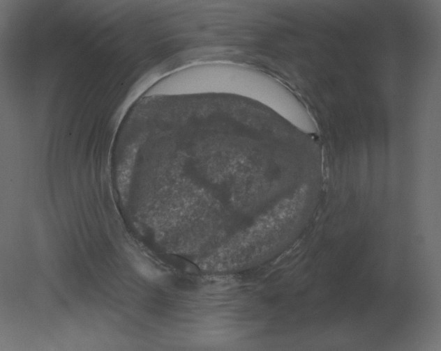 X0000080790099200701122158