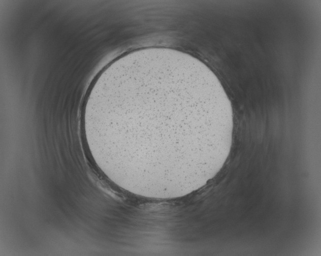 X0000080790100200701122158