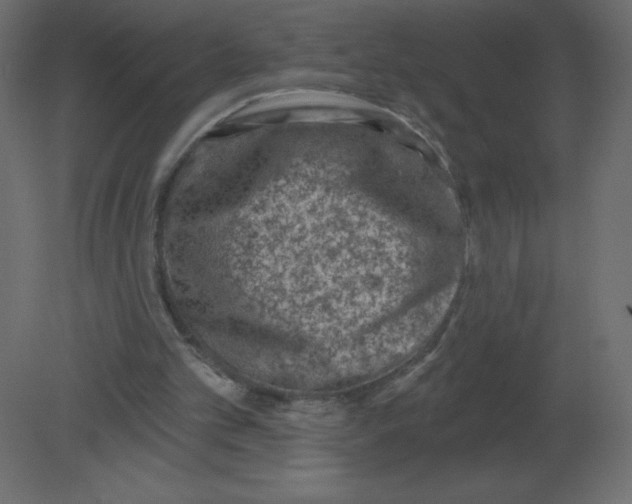 X0000080790101200701122158