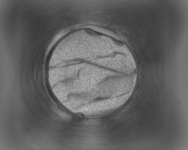 X0000080790102200701122158