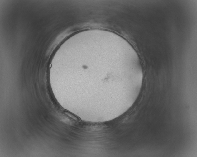 X0000080790103200701122158