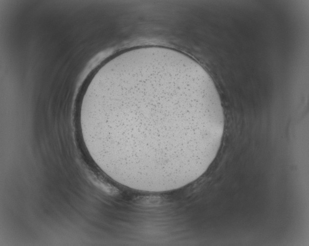 X0000080790104200701122158