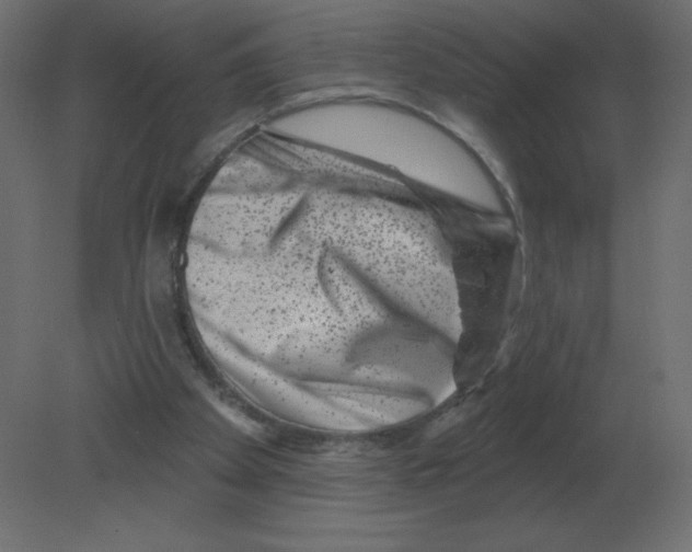 X0000080790105200701122158