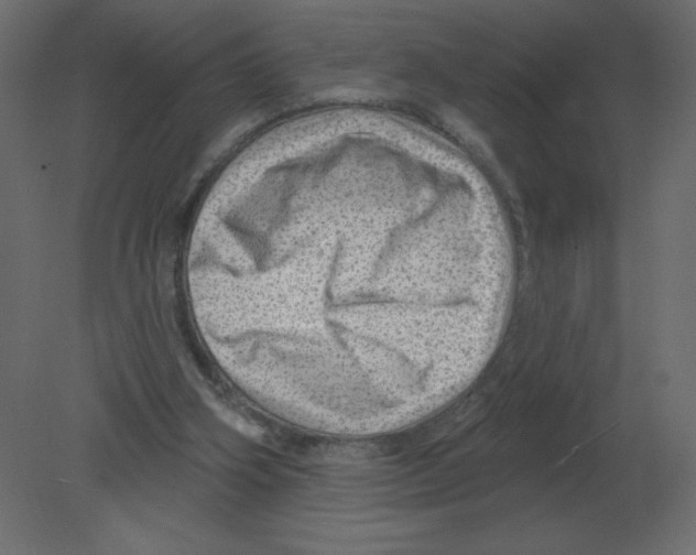 X0000080790106200701122158