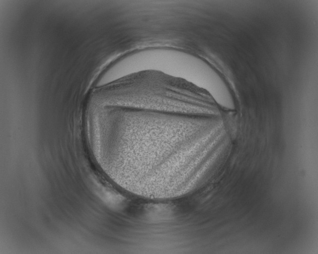 X0000080790107200701122158