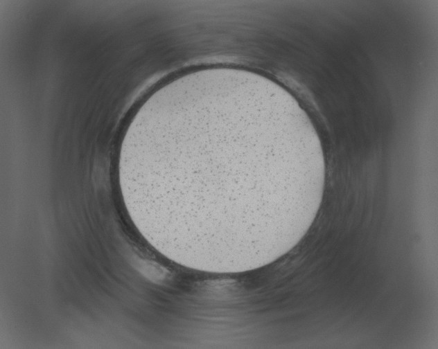 X0000080790108200701122158