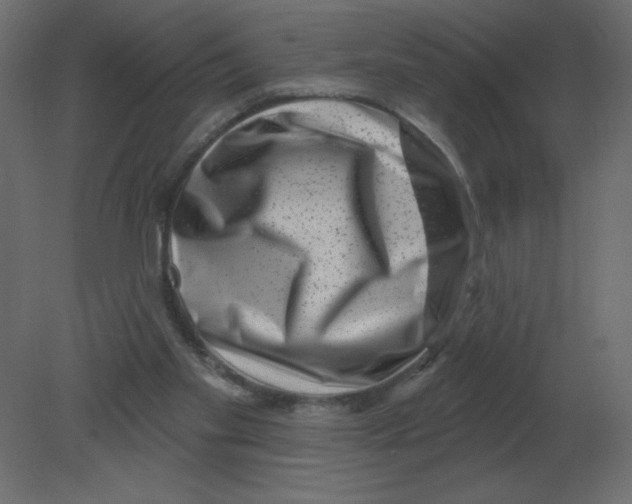 X0000080790109200701122158