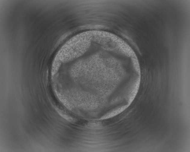 X0000080790110200701122158