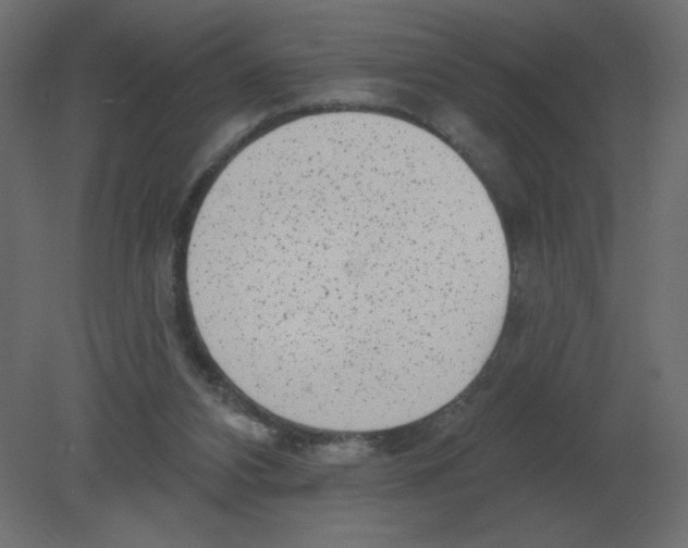 X0000080790112200701122158