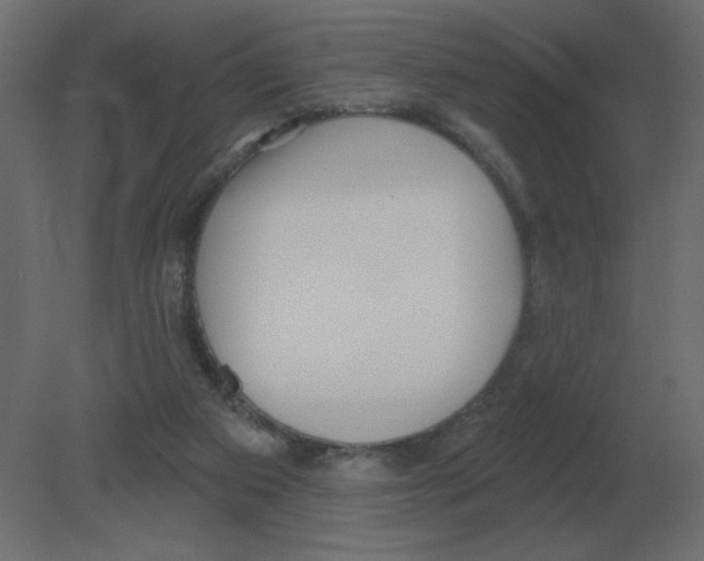 X0000080790113200701122158